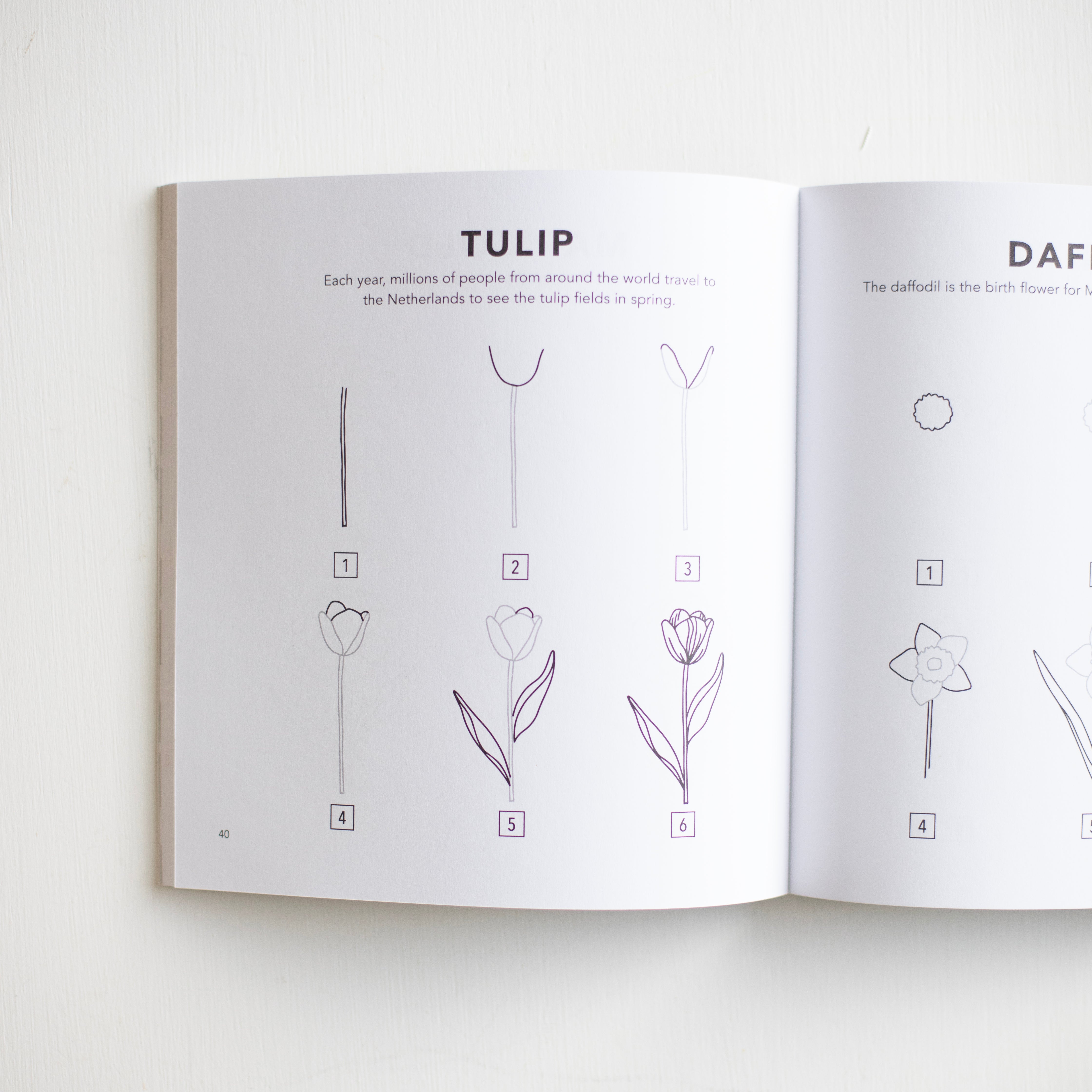 Spring Things: How to Draw Books for Kids