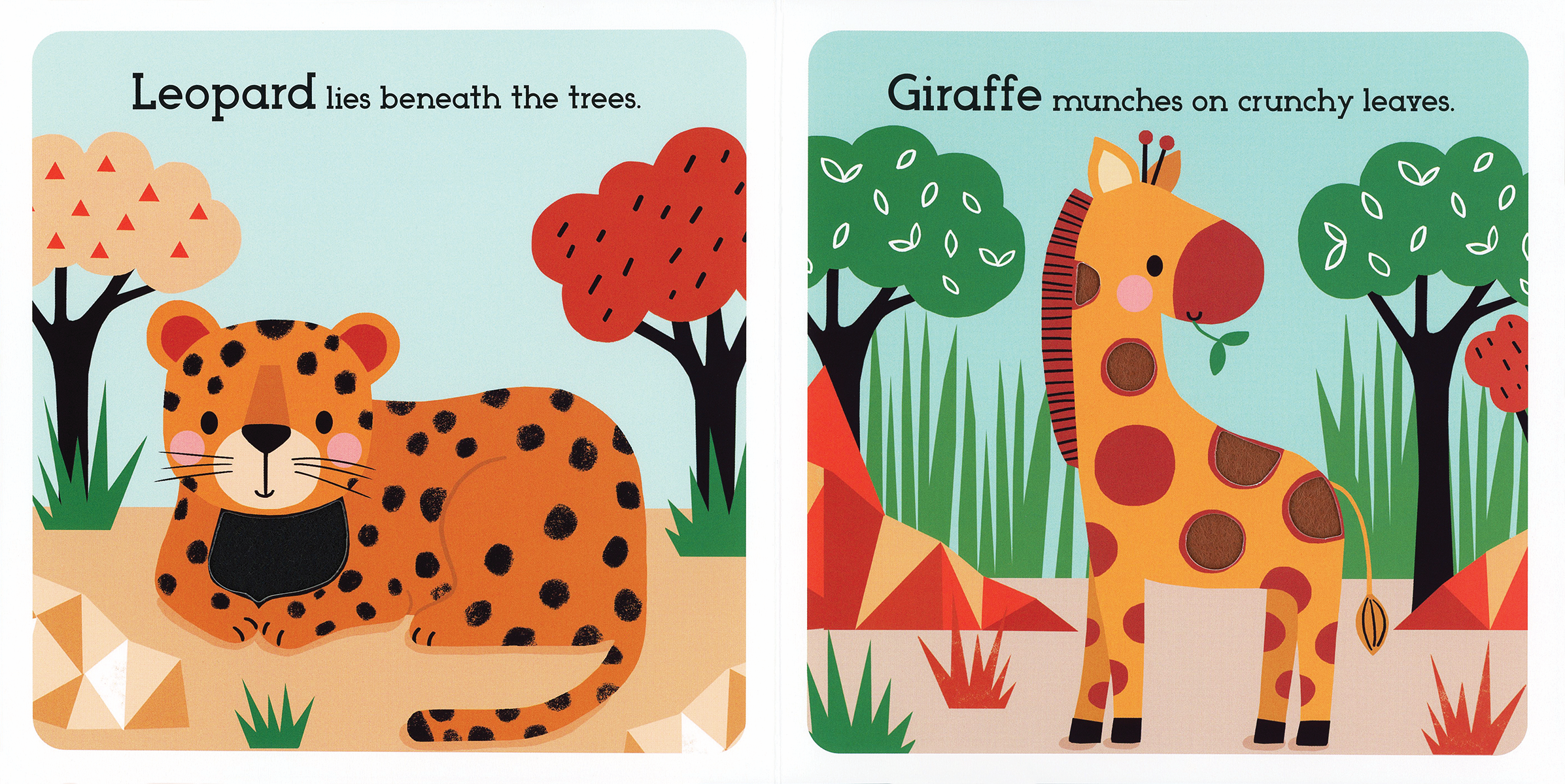 Read, Touch, Discover Animals of the Savanna