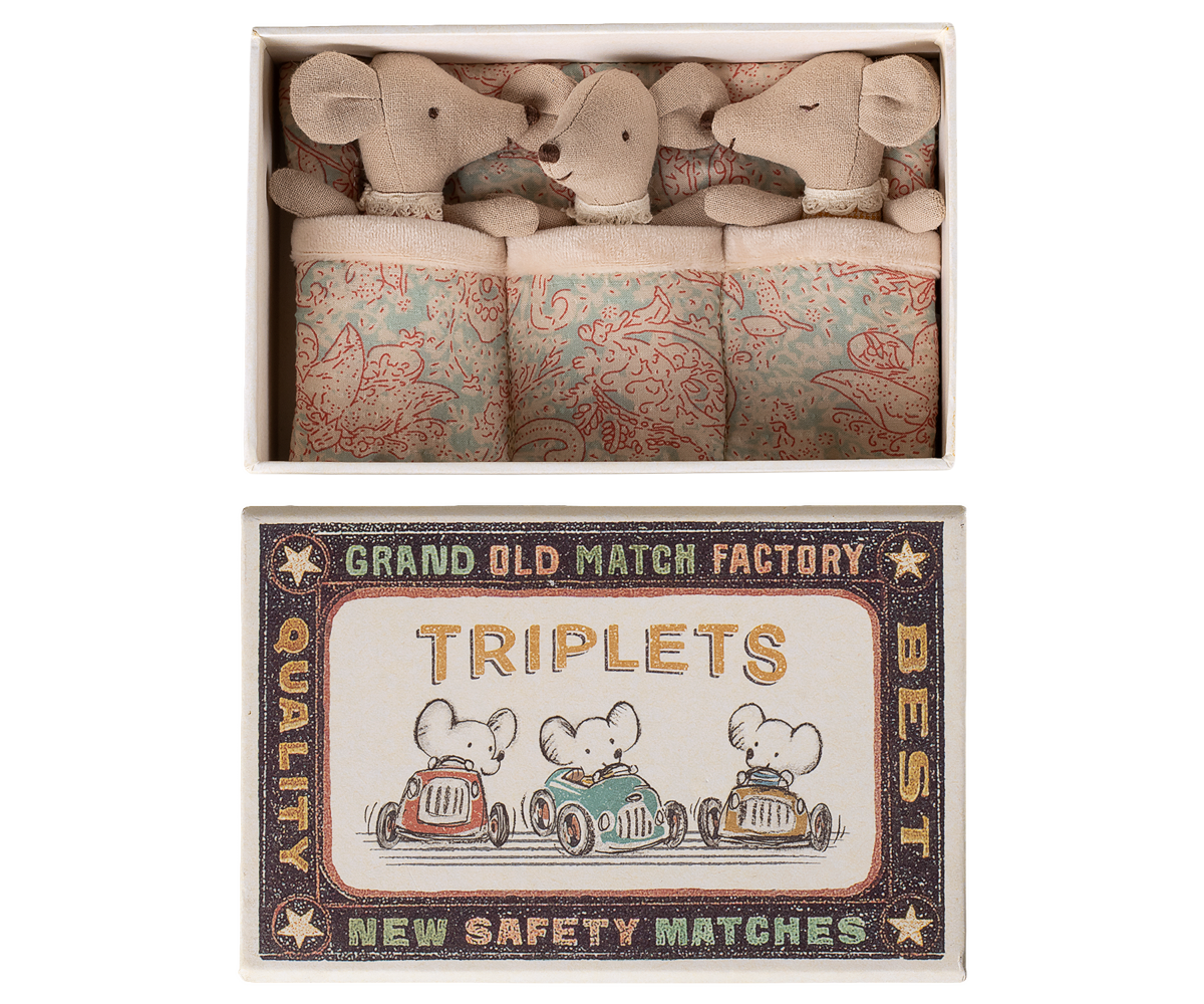 Triplets, Baby mice in matchbox - Checker