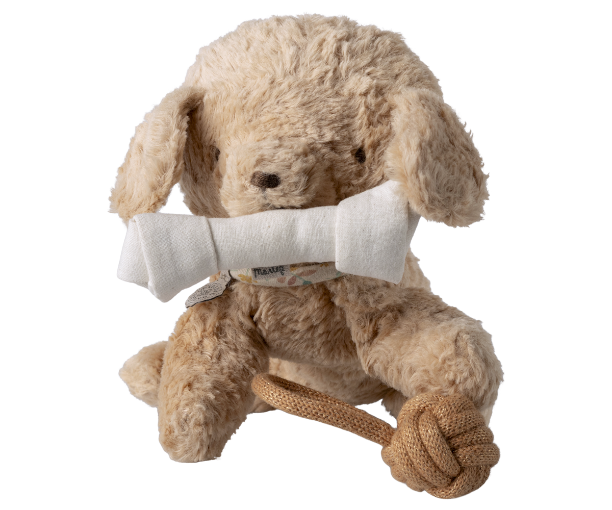 Pet supply, Toys