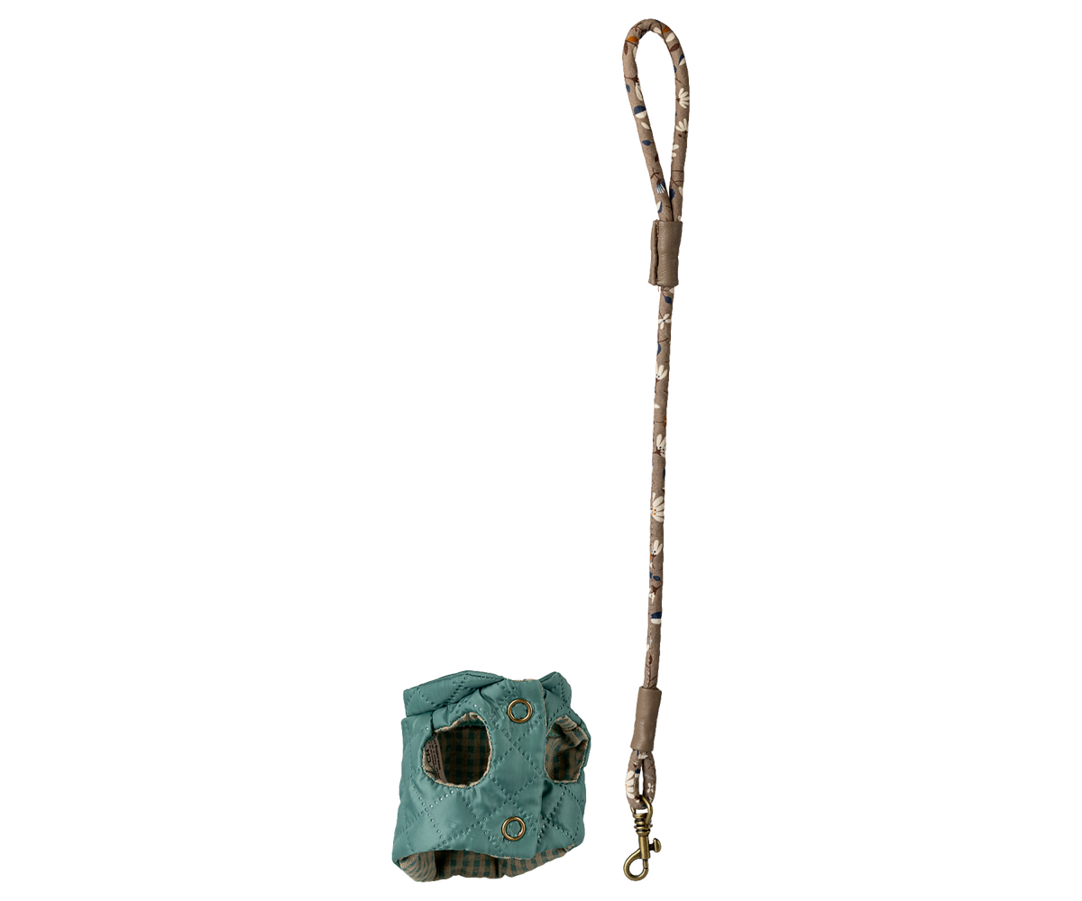 Pet supply, Harness and leash - Dark mint