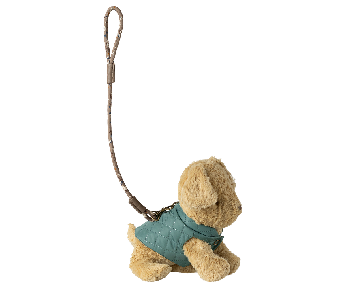 Pet supply, Harness and leash - Dark mint