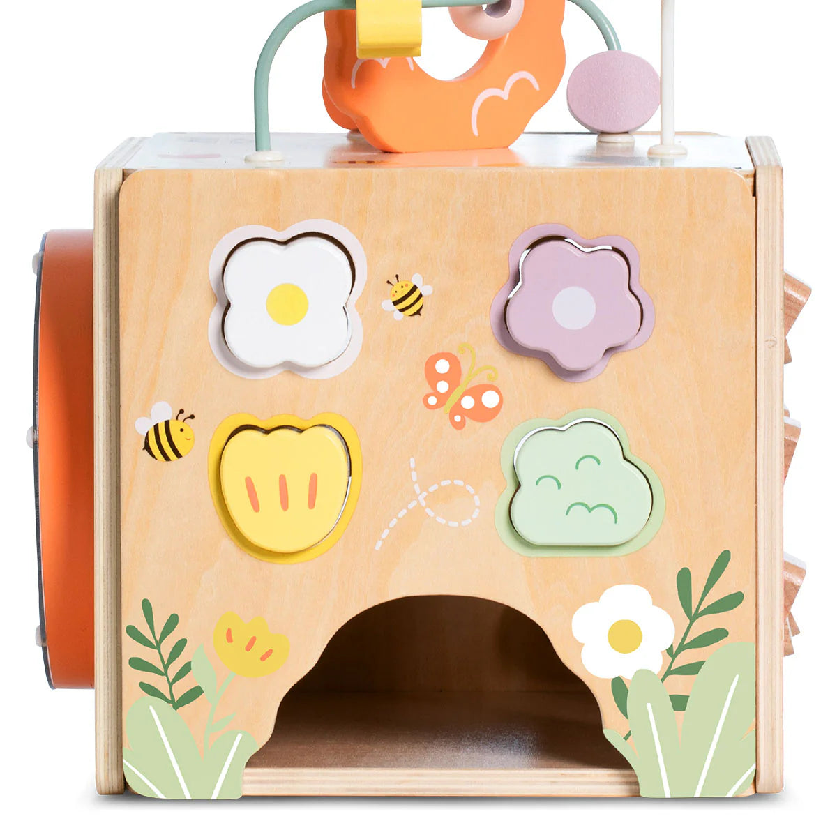 Honeybee Activity Cube