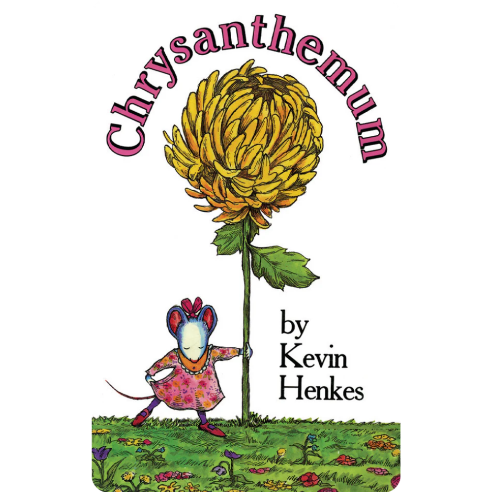Chrysanthemum