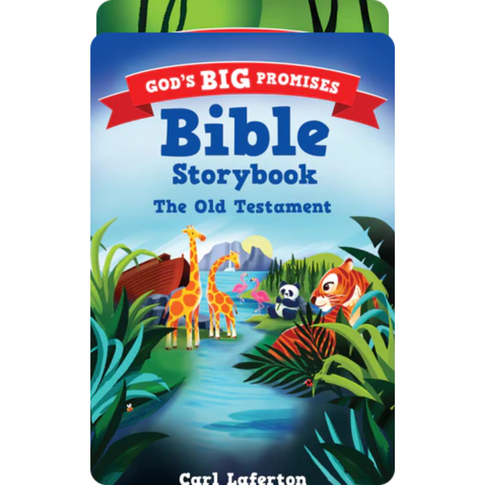 God's Big Promises Bible Storybook Audio