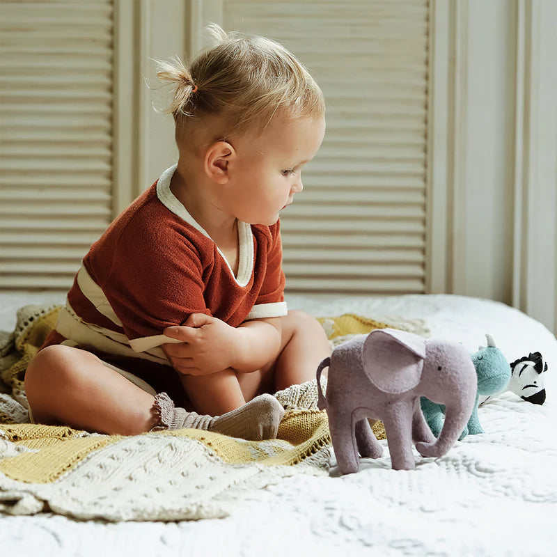 Holdie Set || Safari Animals