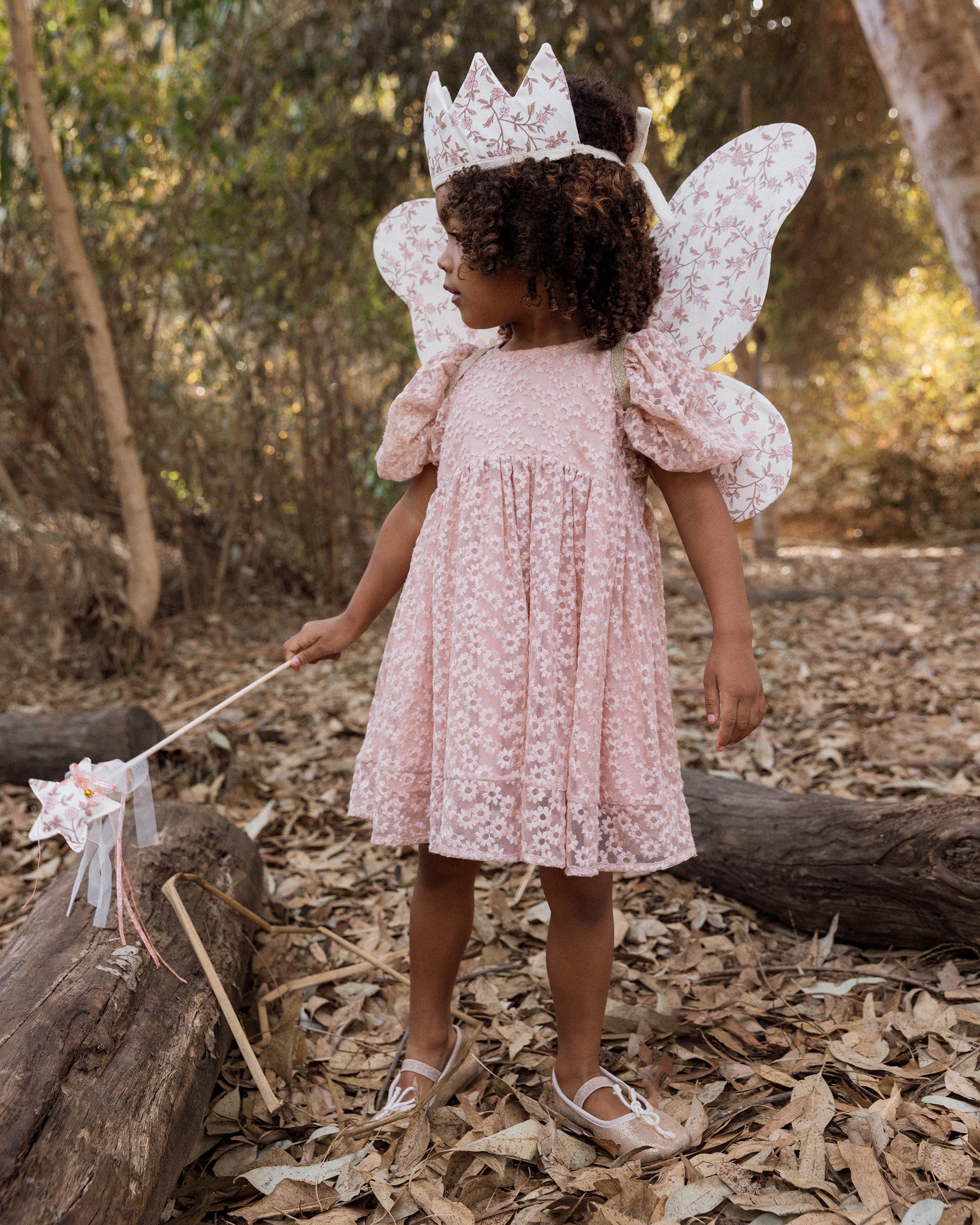 Wings || Rose Meadow