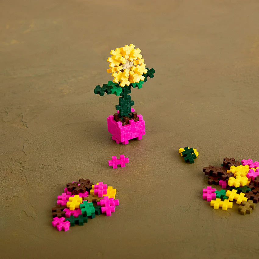 Sociable Sunflower