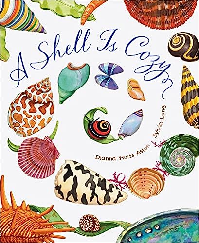 A Shell Is Cozy
