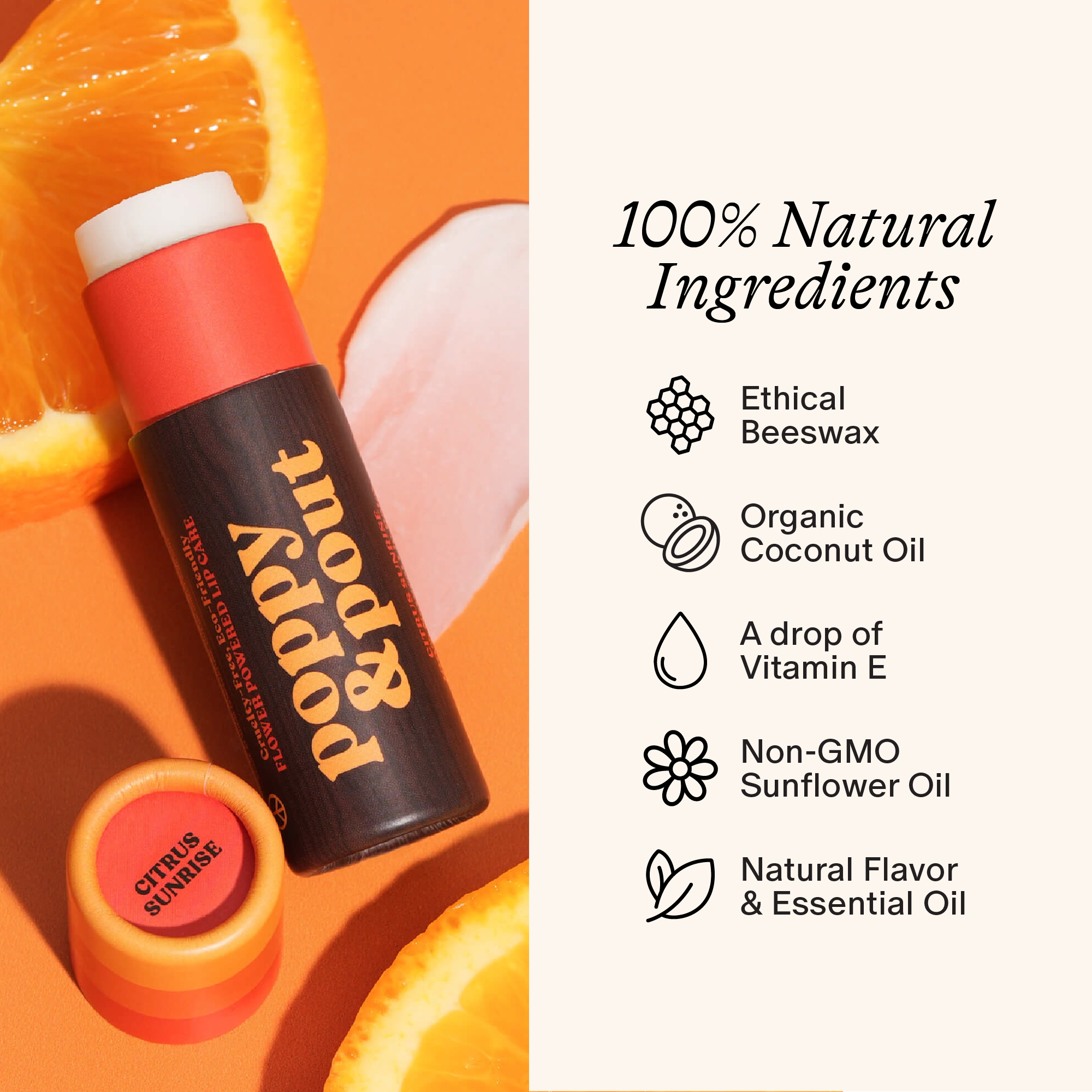 Lip Balm || Retro Surf - Citrus Sunrise