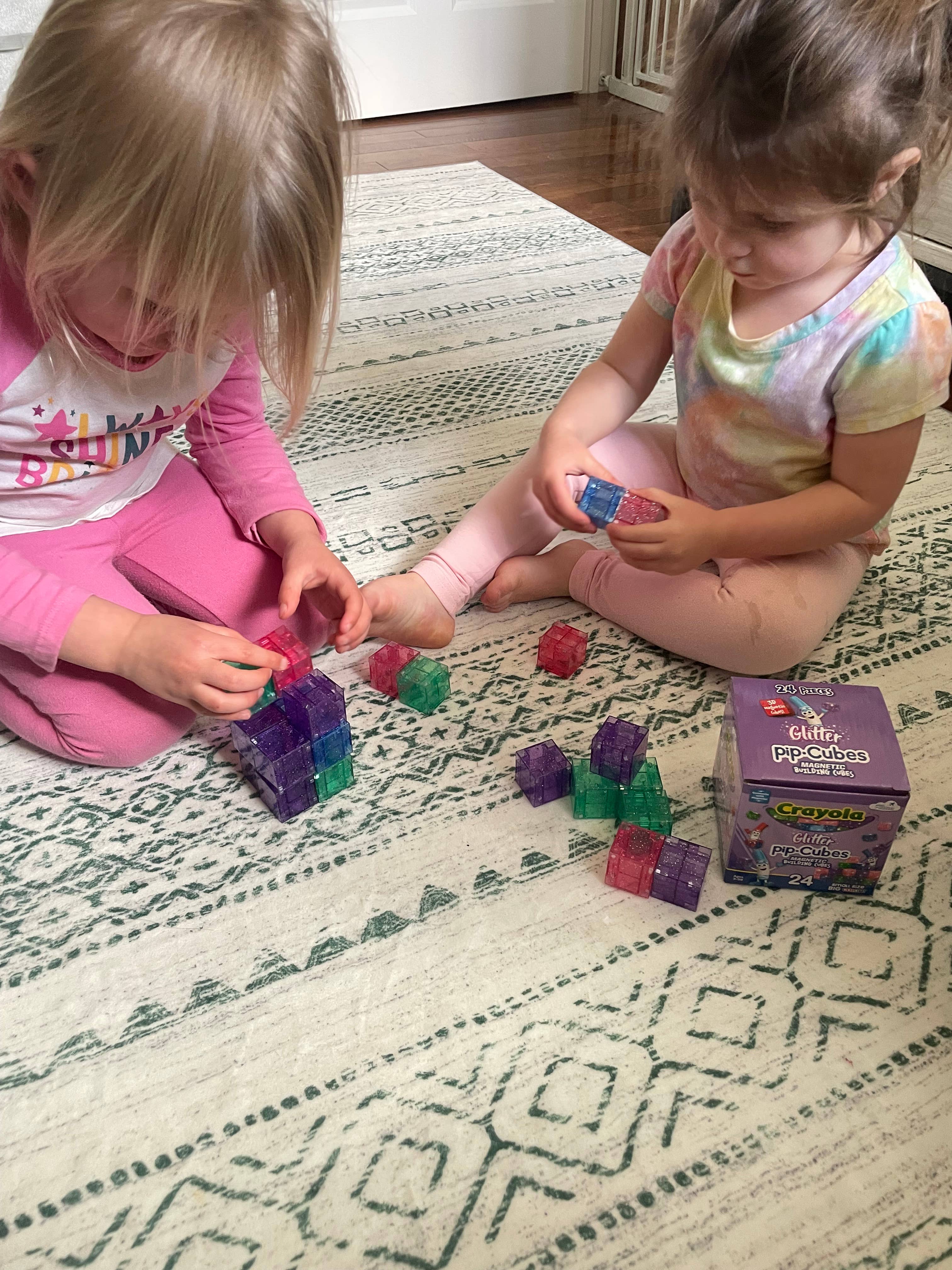 Crayola Glitter PIP Magnetic Cubes 24pc
