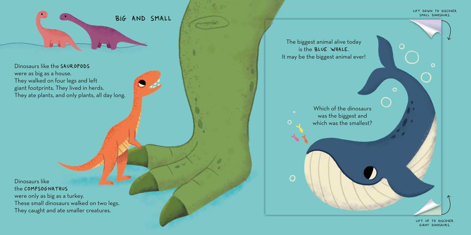 Magic Folding Flaps - Dinosaurs