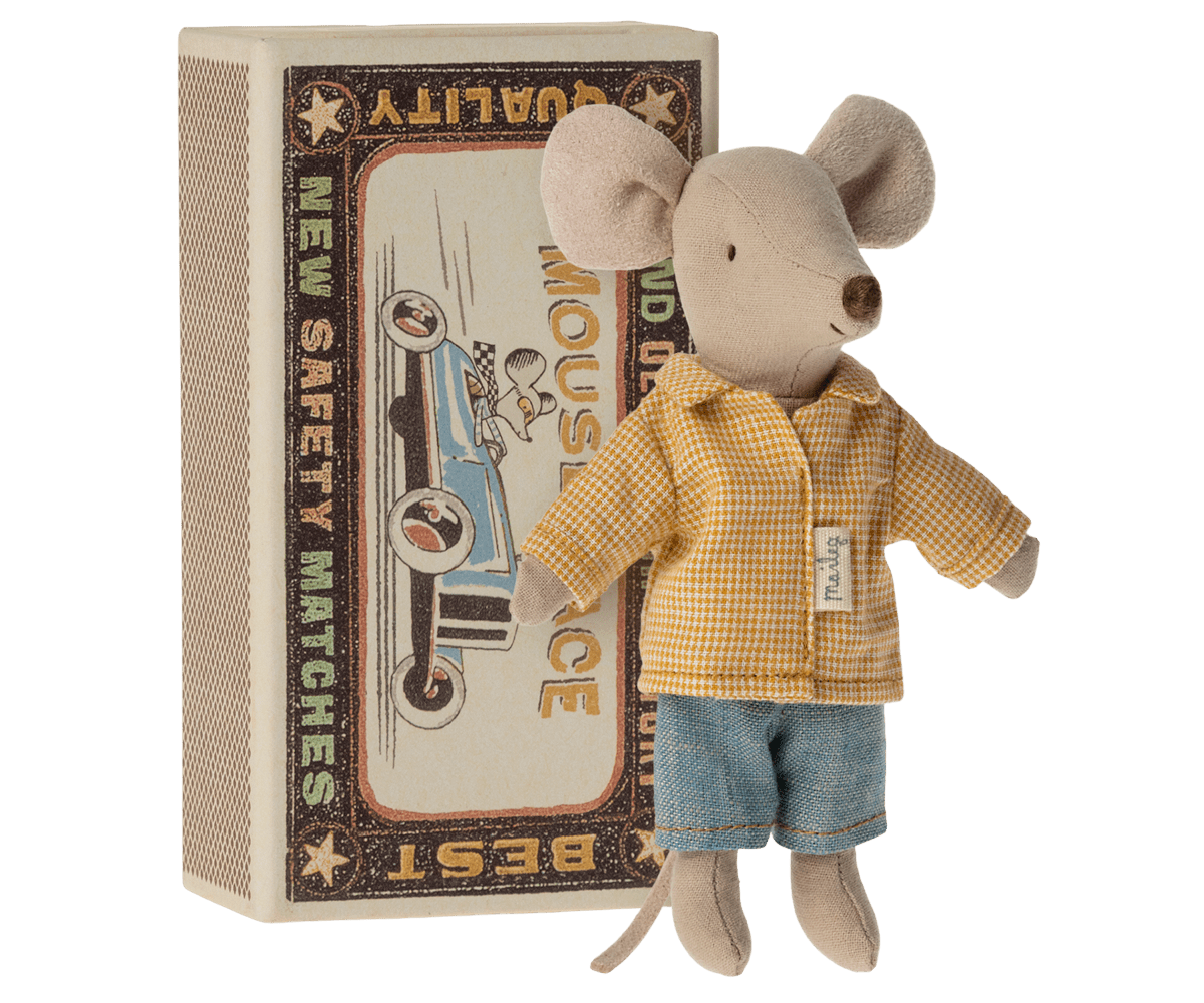 Big Brother Mouse in Box