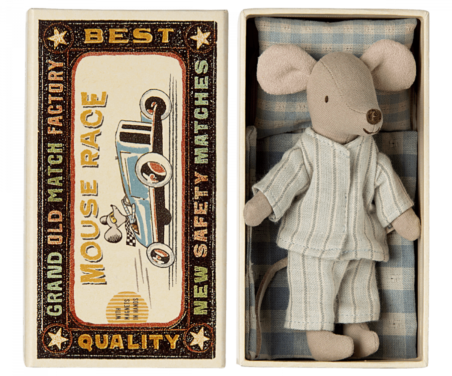 Big brother mouse in matchbox