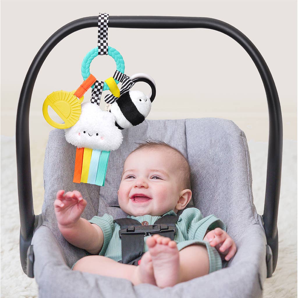 Bitzy Busy Ring™ Teething Activity Toy - High Contrast