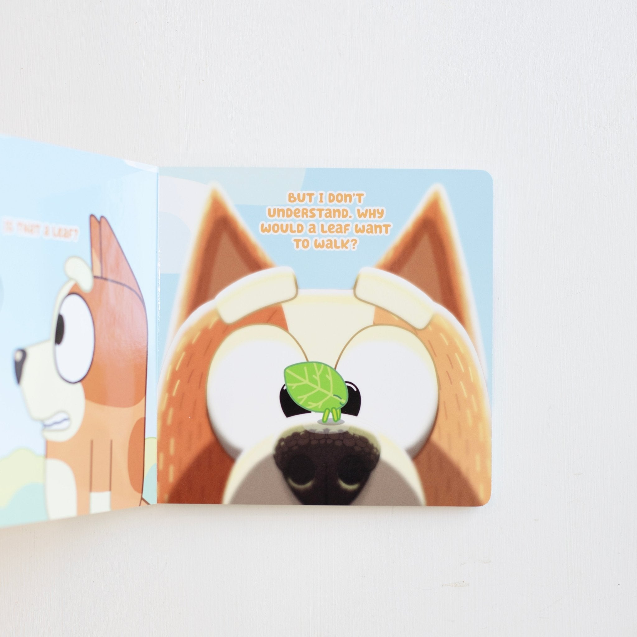 Bluey and Bingo's Book of Bugs