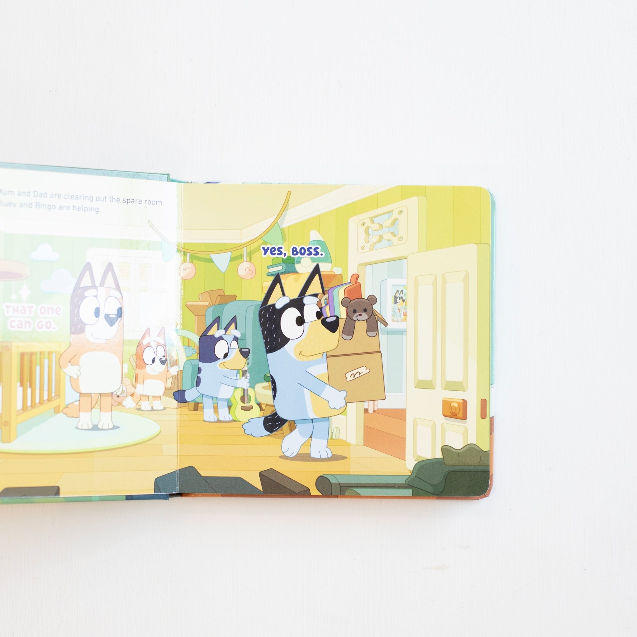 Bluey: Bedroom