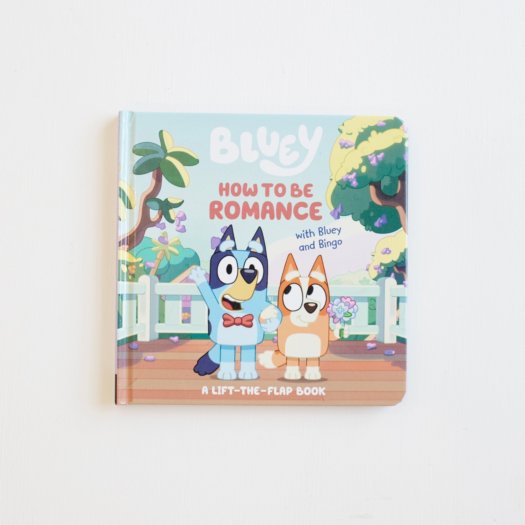 Bluey: How to be Romance
