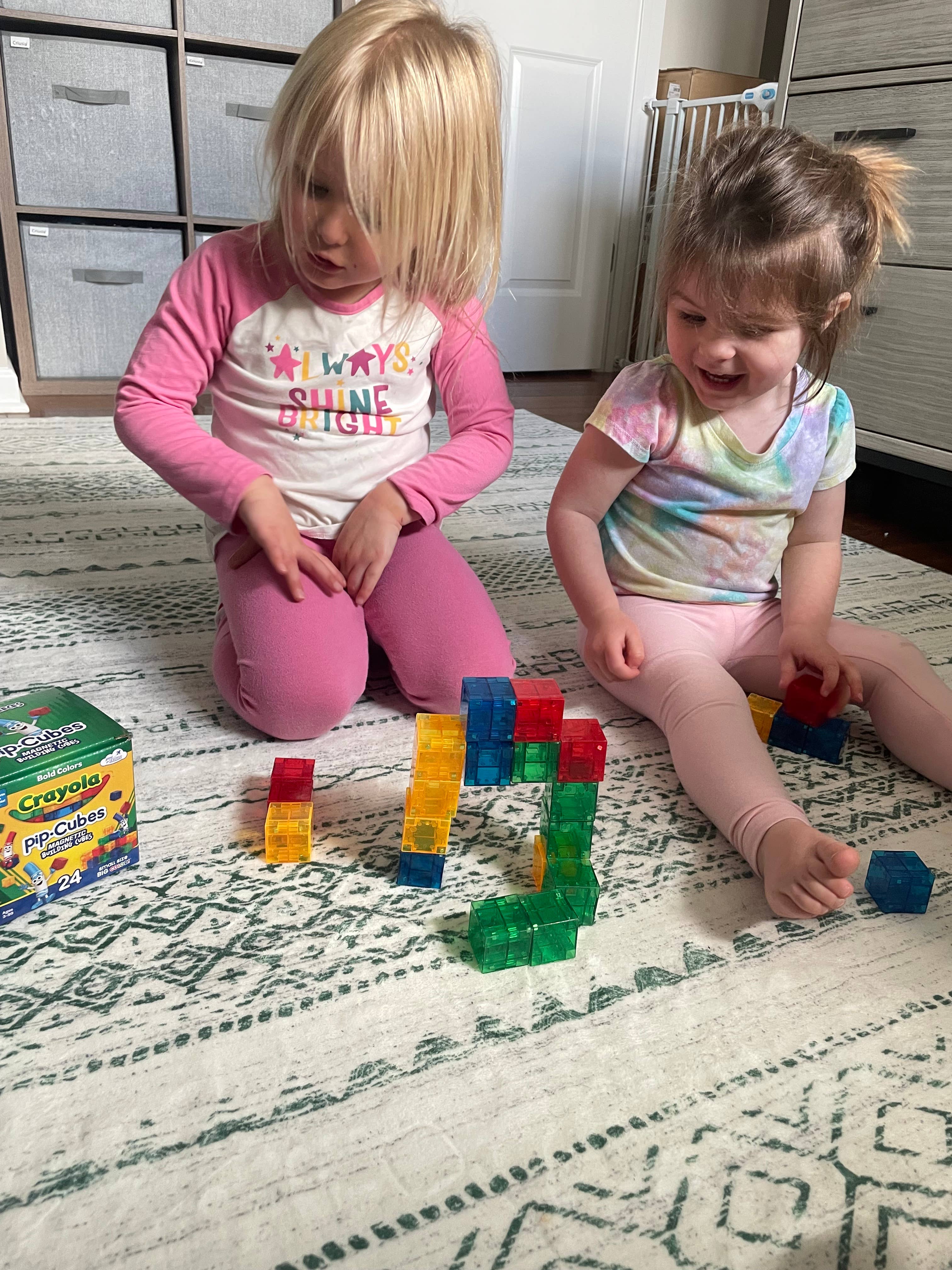 Crayola Bold PIP Magnetic Cubes 24pc