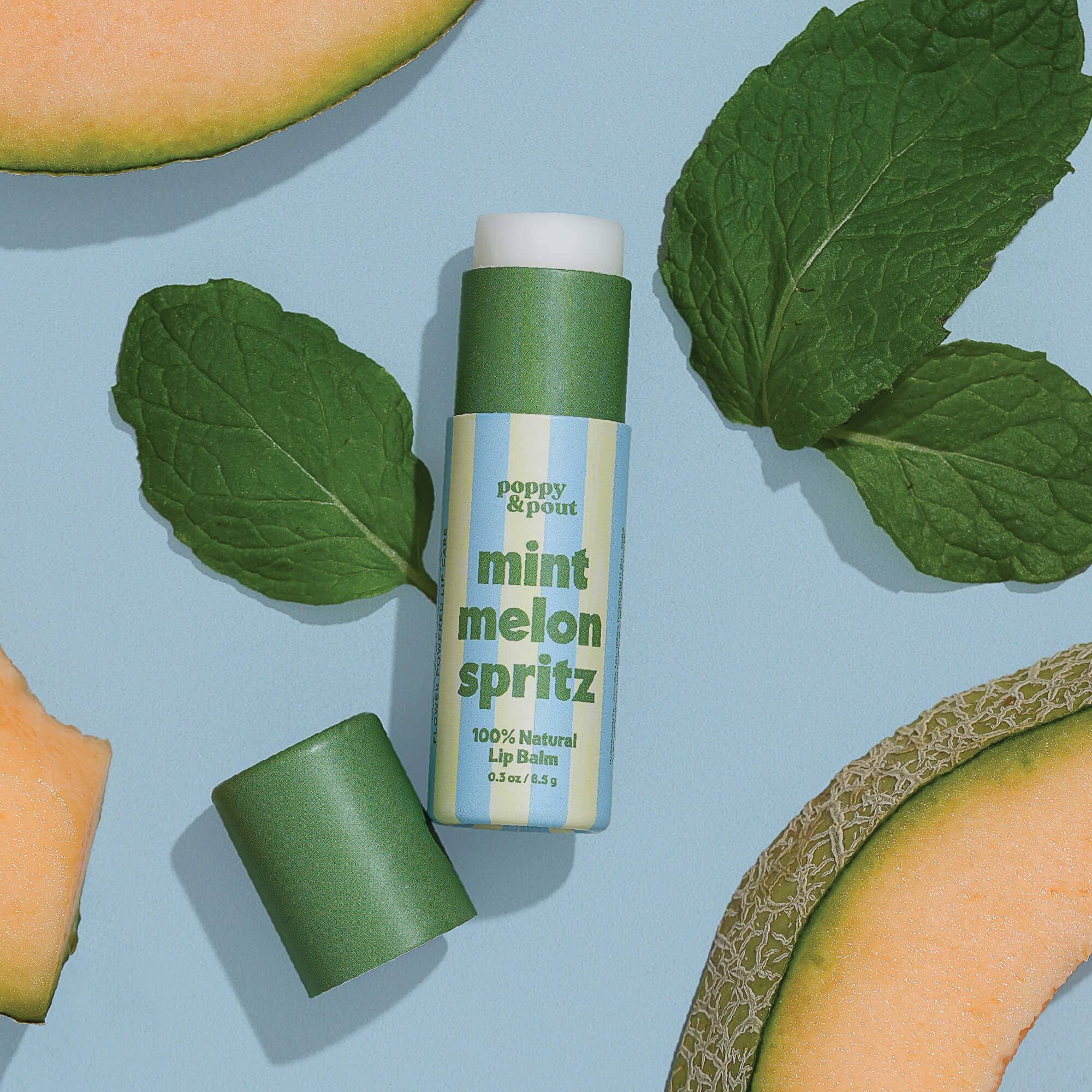 Lip Balm - Retro Refreshers || Mint Melon Spritz – Khanh