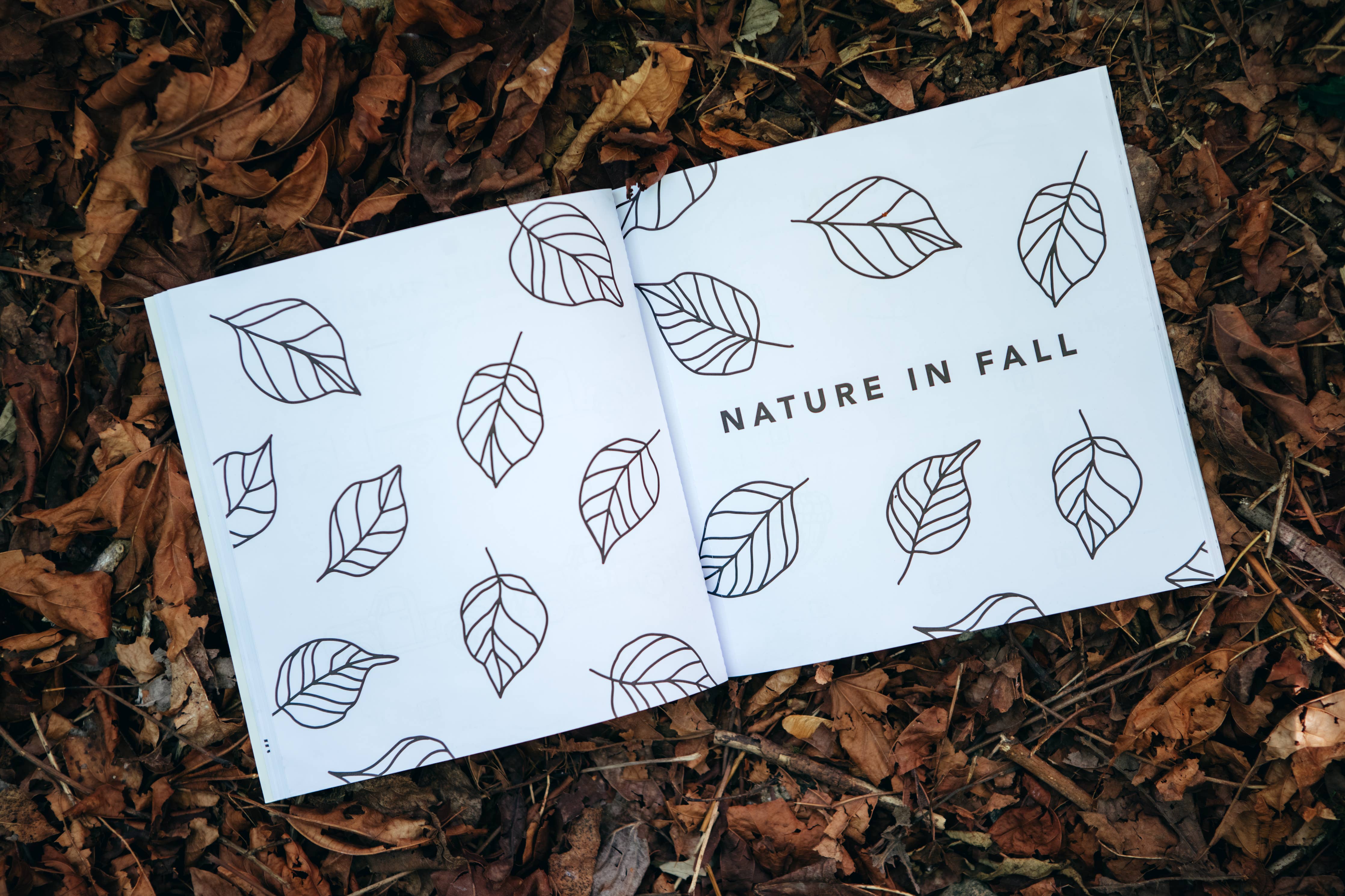 How to Draw || Fall Things