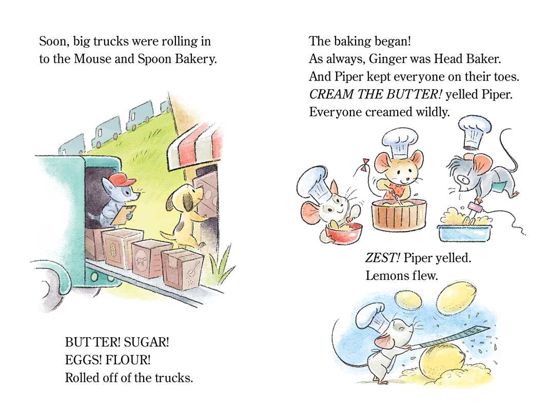 Elephant's Birthday || Hardcover