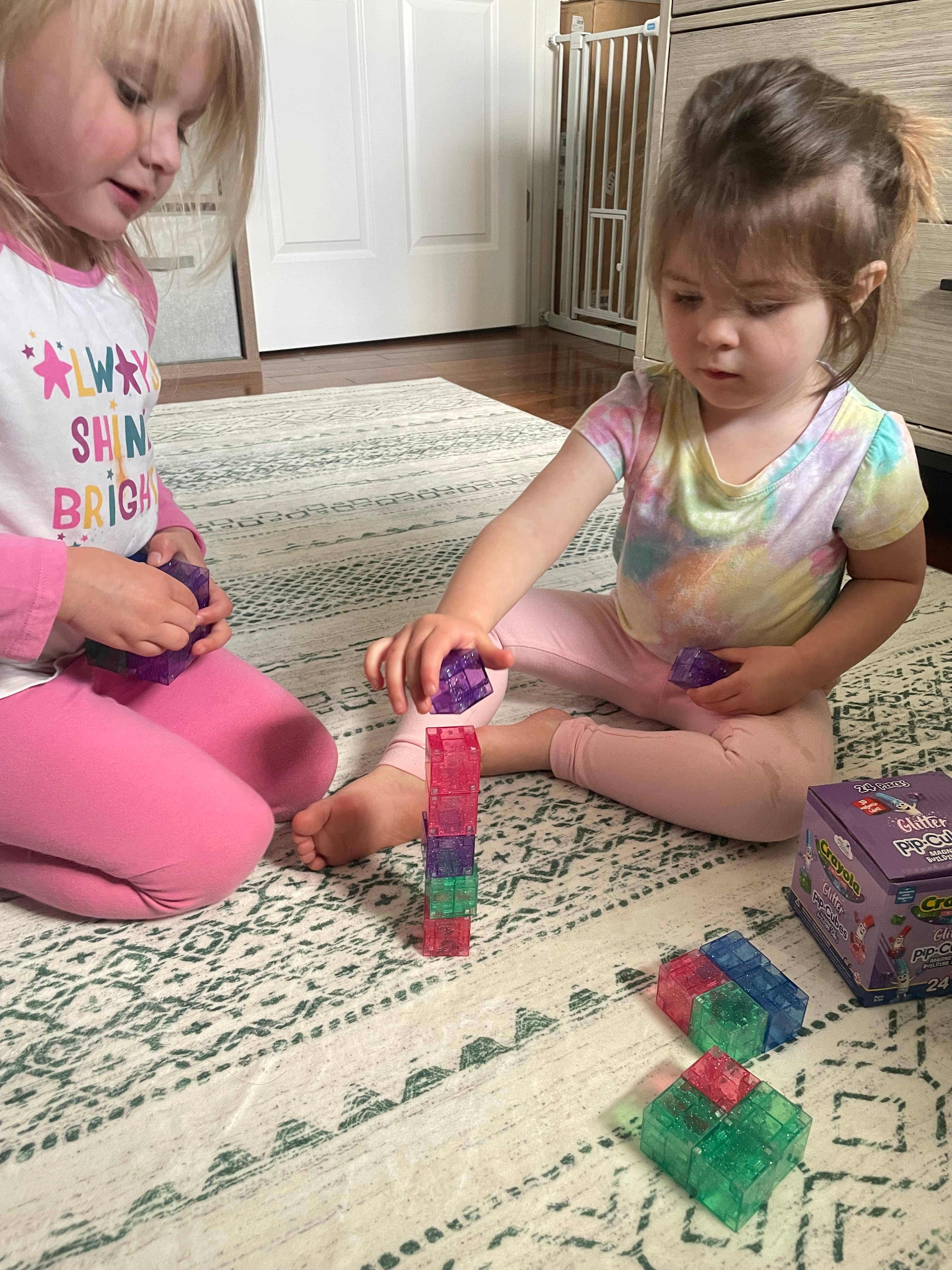 Crayola Glitter PIP Magnetic Cubes 24pc
