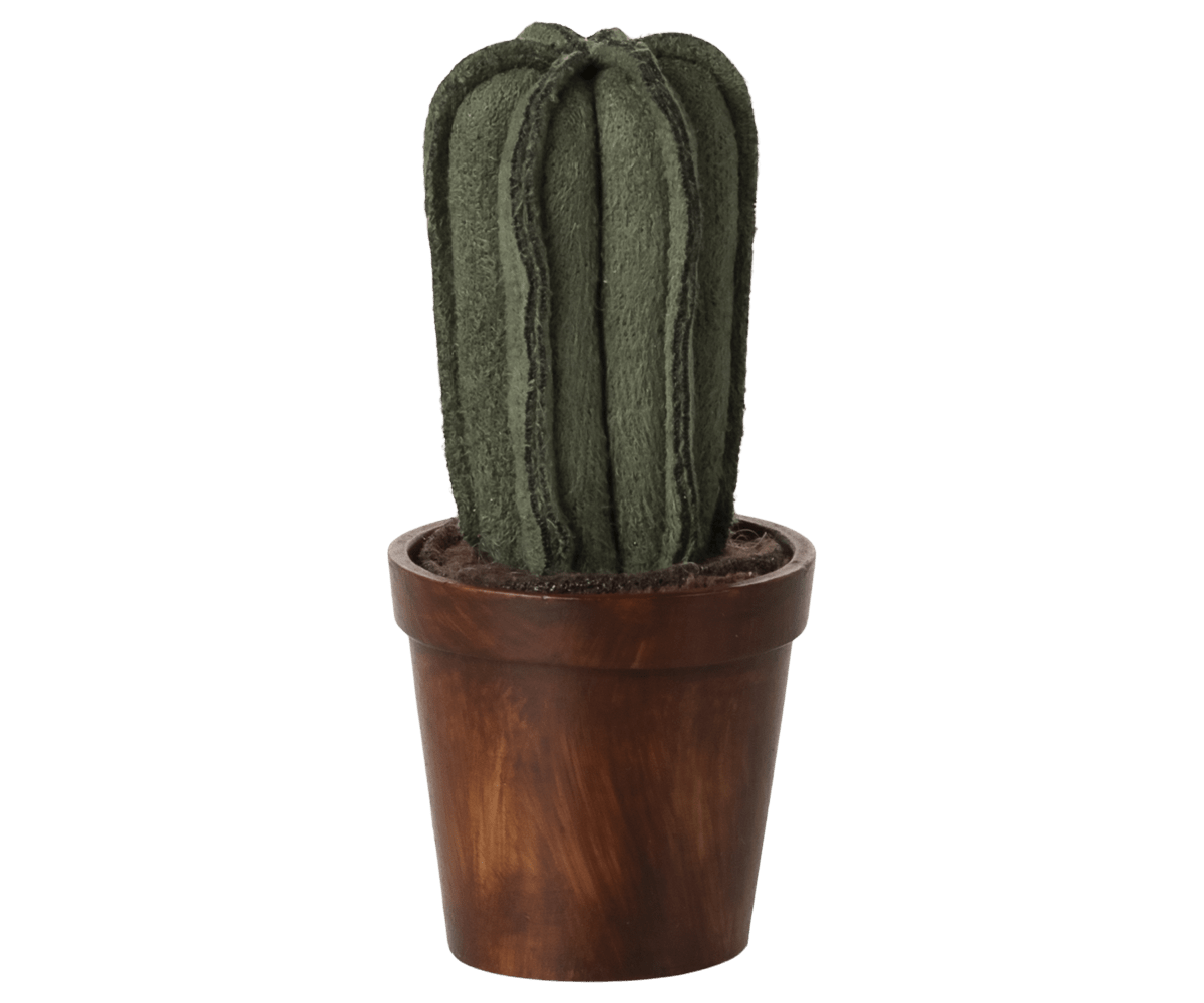 Flower pot with cactus