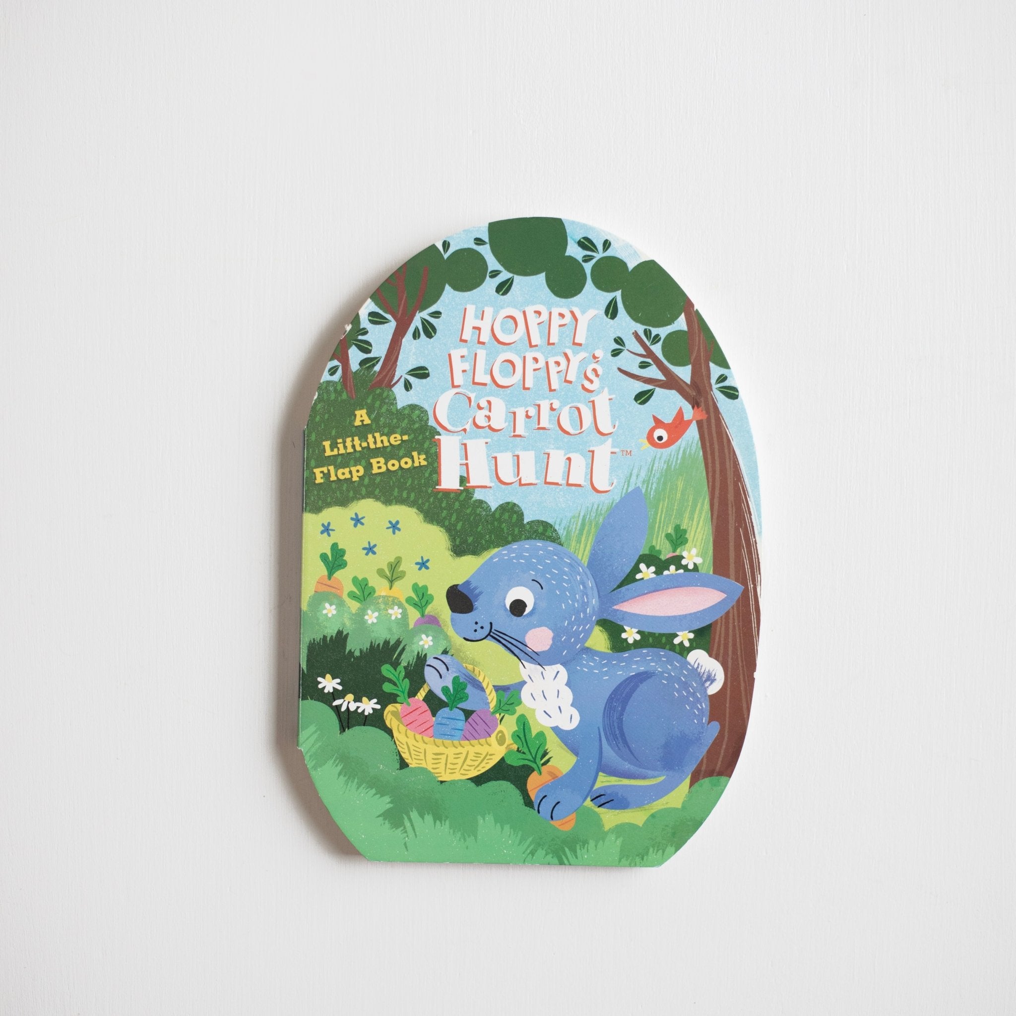 Hoppy Floppy’s Carrot Hunt