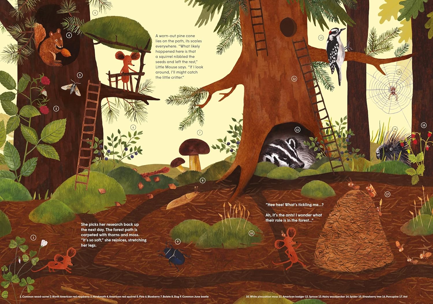 Little Mouse's Encyclopedia