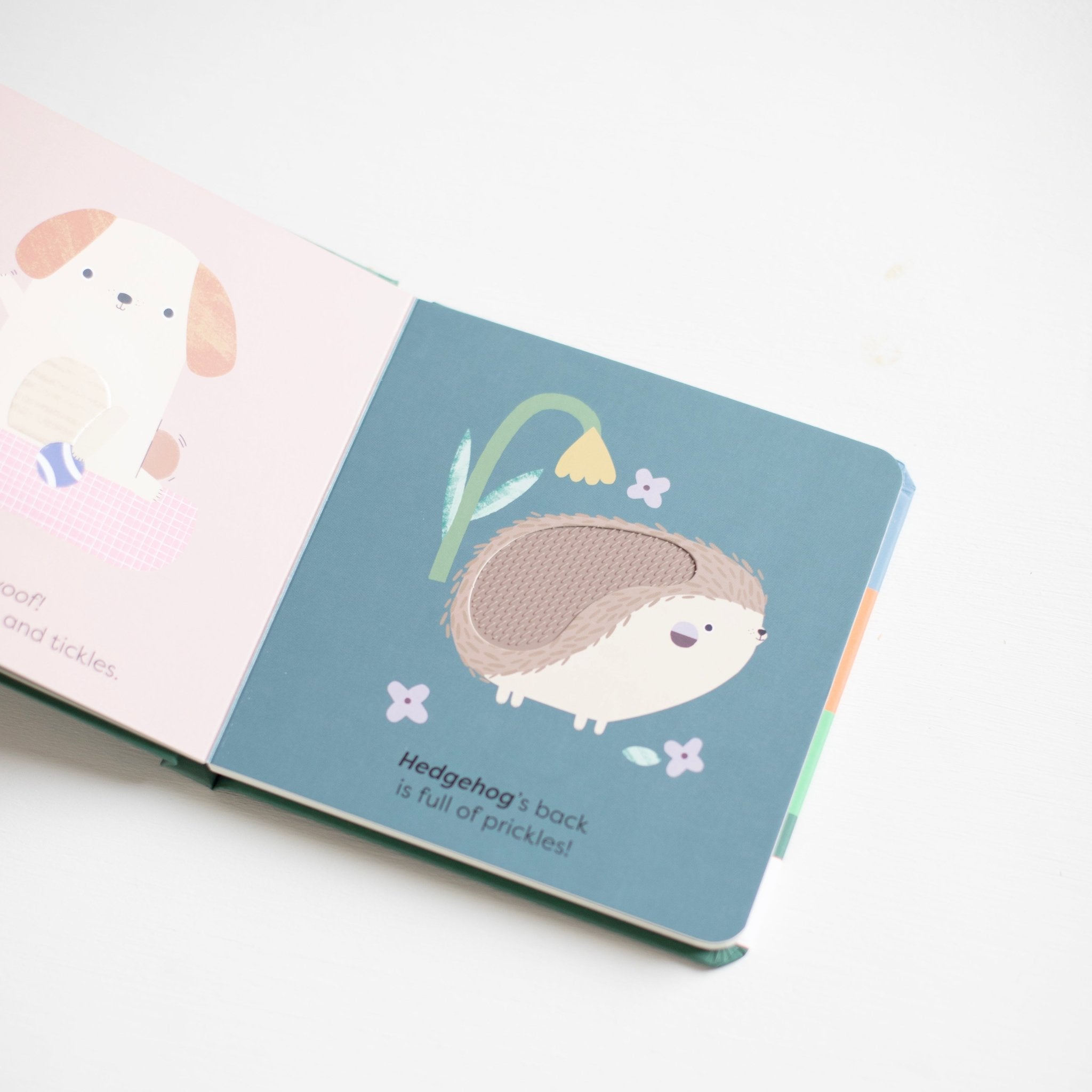 MiniTouch: Animals: Touch - and - feel first words