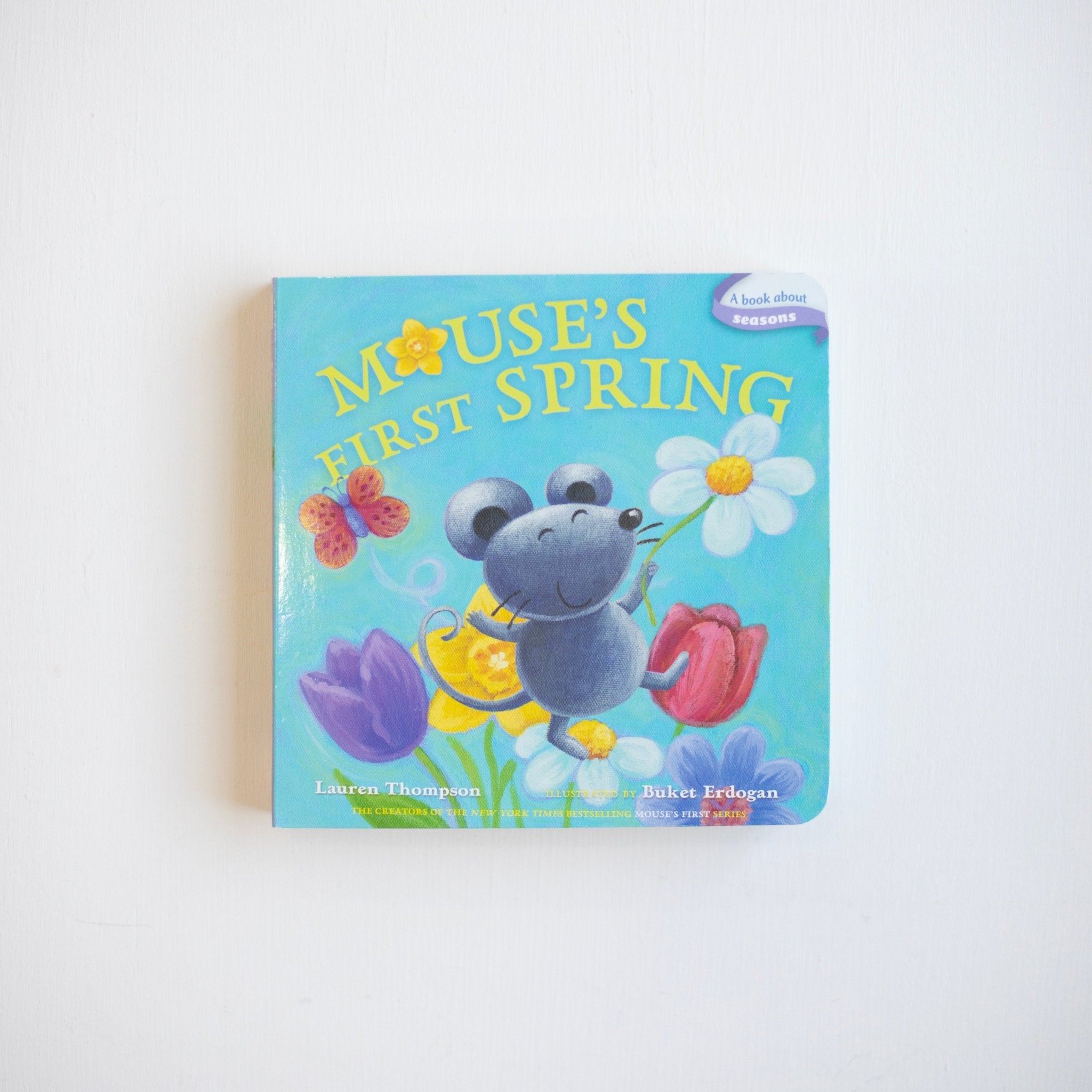 Mouse's First Spring