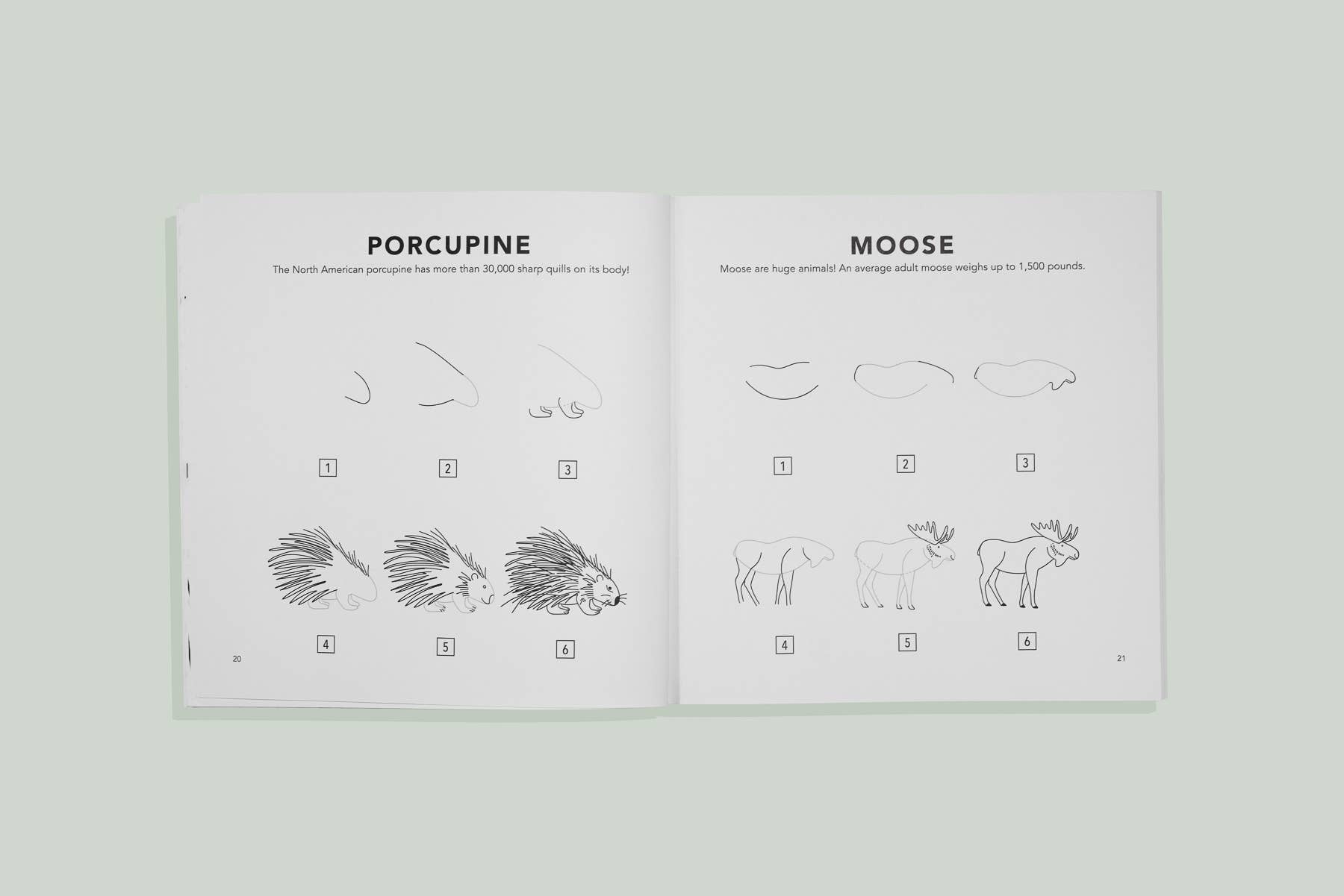 Mushrooms & Woodland Creatures For Kids