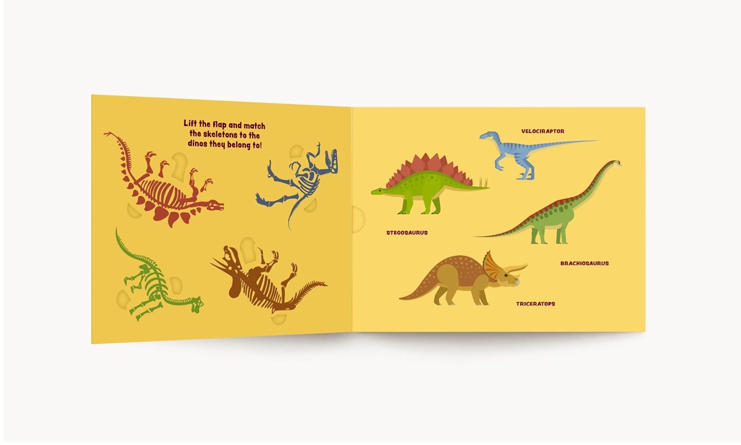 My First Dinosaur Dig: Let's Go Fossil Hunting!