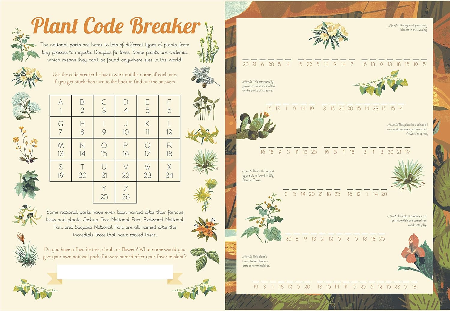 National Parks of the USA - Activity Book