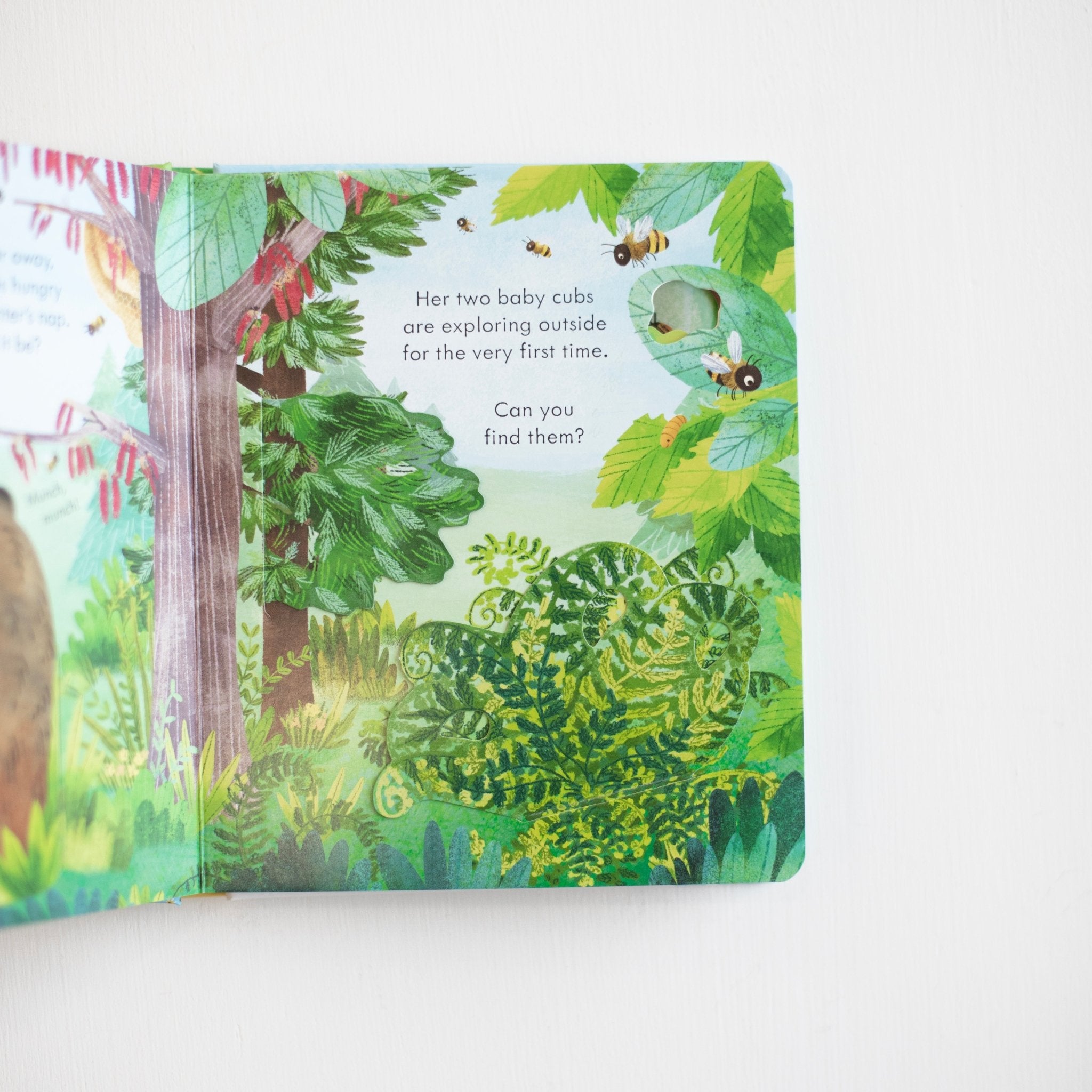 Peek Inside Springtime