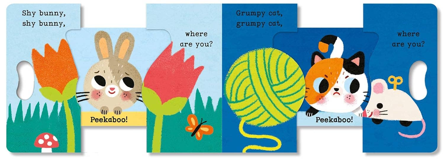 Puppy, Puppy Peekaboo (Peekaboo Grab - and - Pull Books)