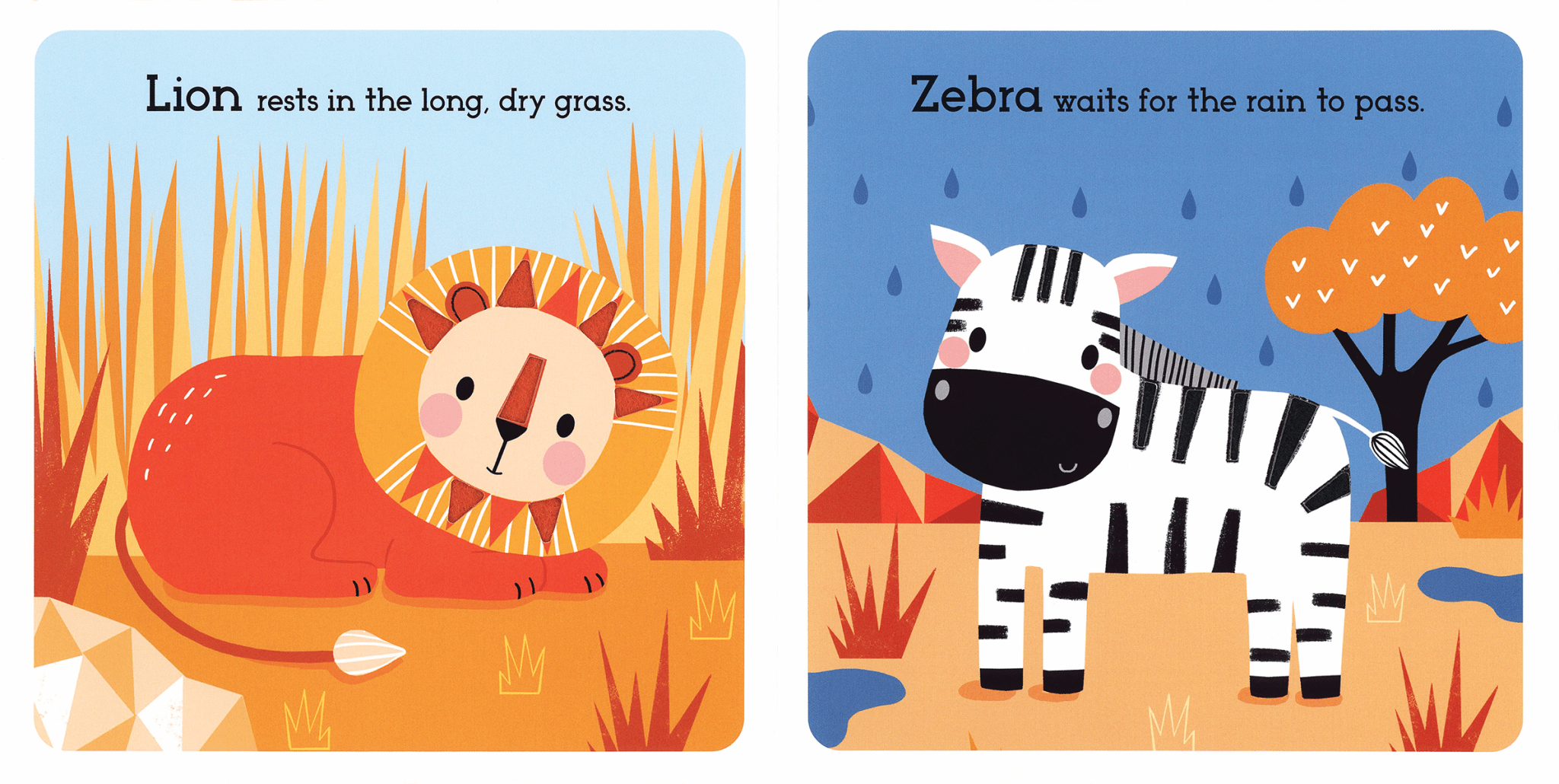 Read, Touch, Discover Animals of the Savanna