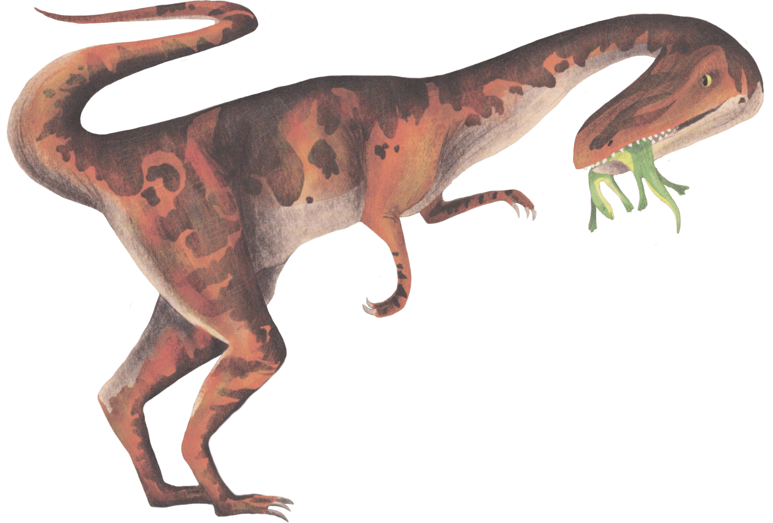 Shine - A - Light, Dinosaurs