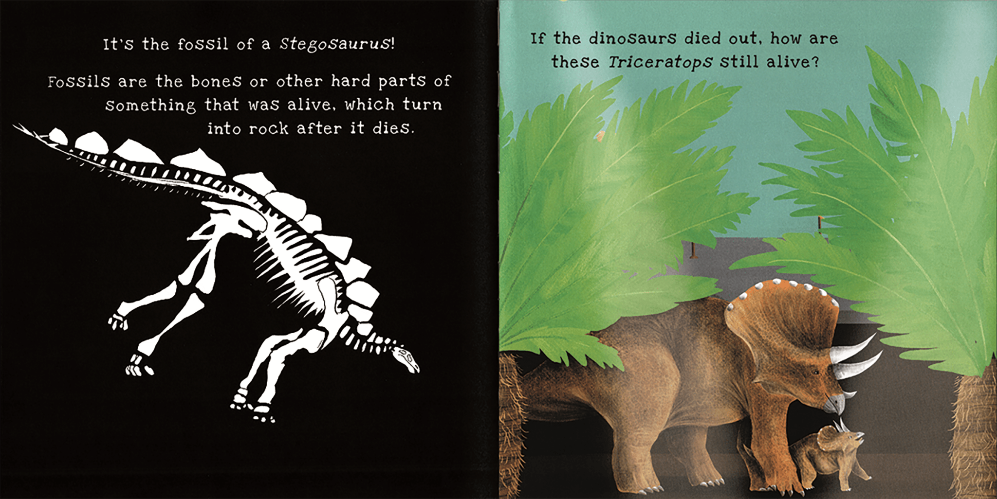 Shine - A - Light, Dinosaurs