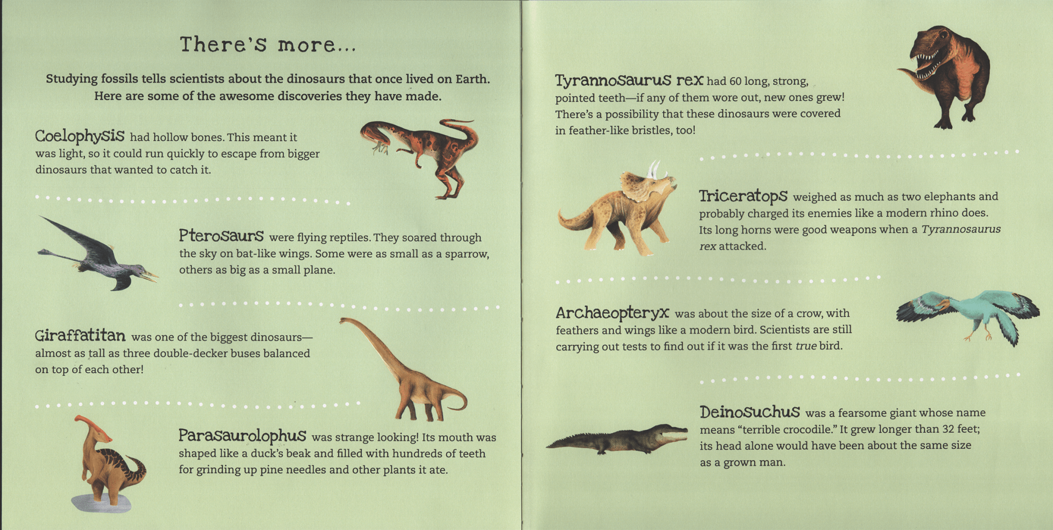 Shine - A - Light, Dinosaurs