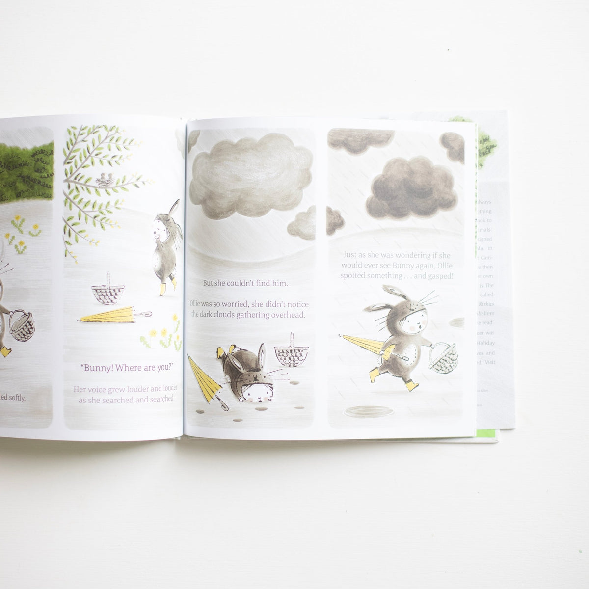 The Little Rabbit – Khanh