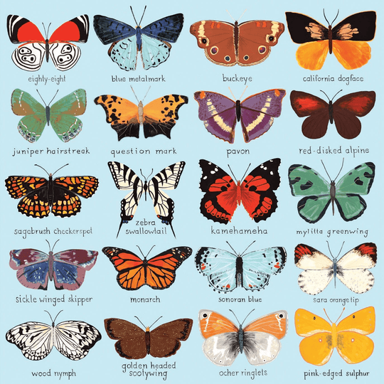 North American Butterfly Chart