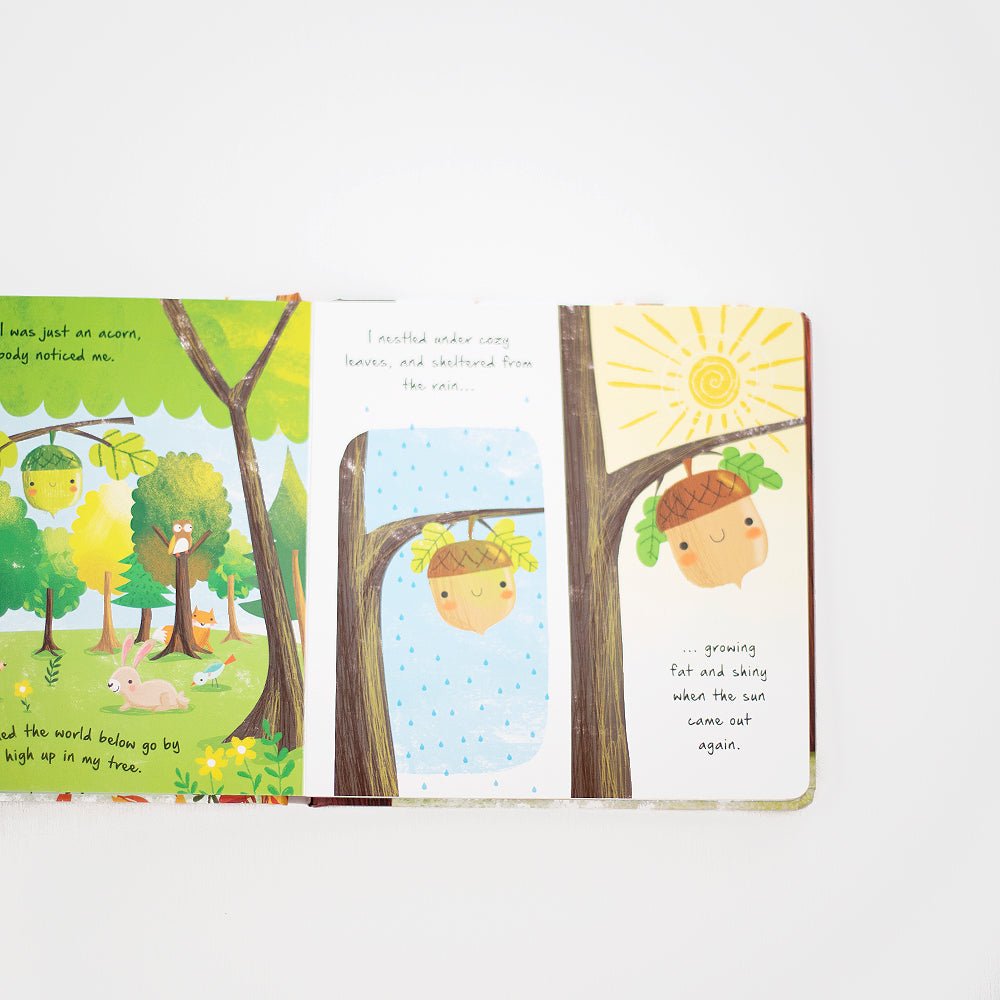 Little Acorn - Khanh