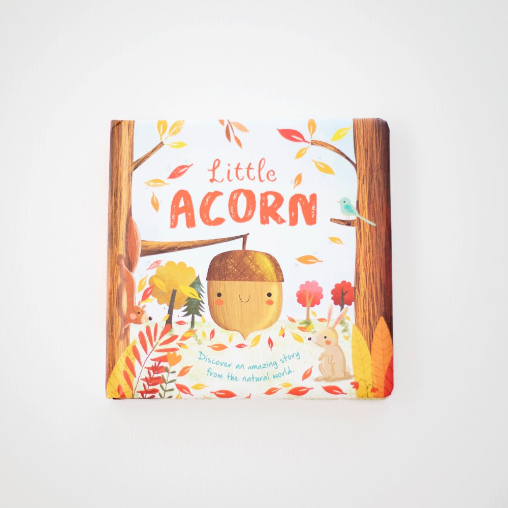 Little Acorn - Khanh